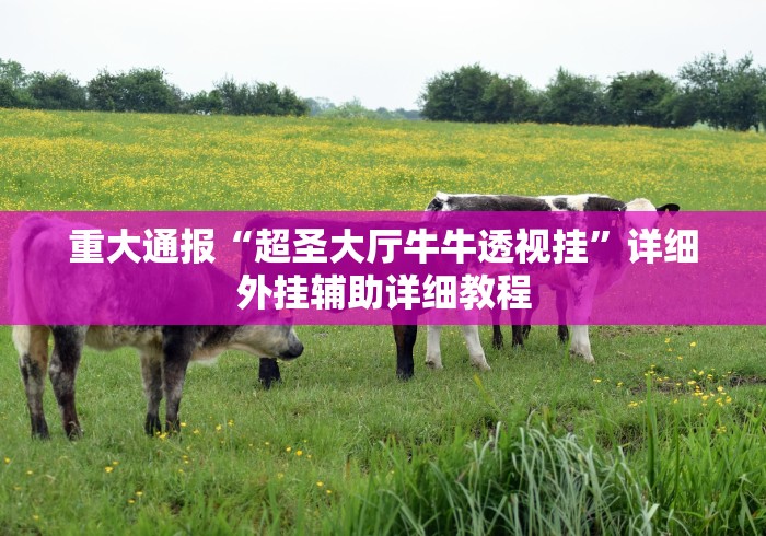 重大通报“超圣大厅牛牛透视挂”详细外挂辅助详细教程