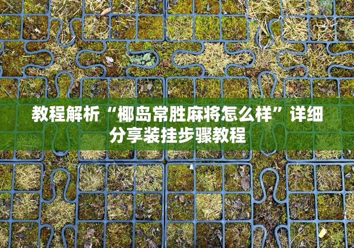 教程解析“椰岛常胜麻将怎么样”详细分享装挂步骤教程