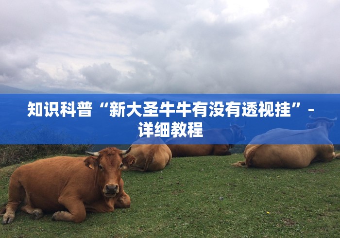 知识科普“新大圣牛牛有没有透视挂”-详细教程