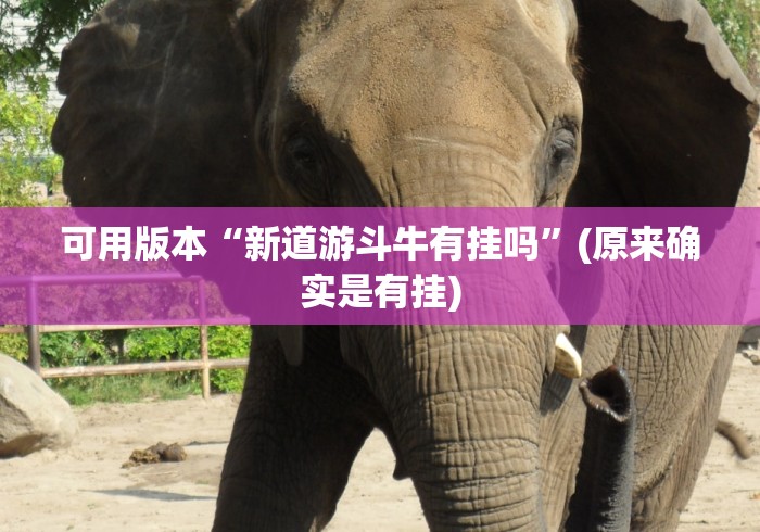 可用版本“新道游斗牛有挂吗”(原来确实是有挂)