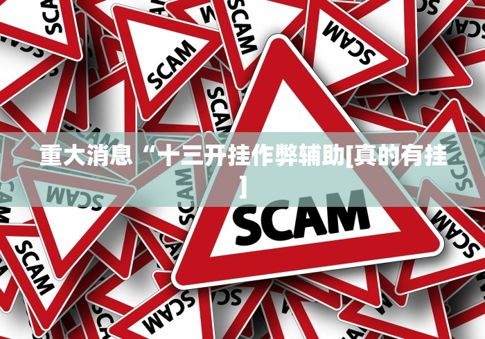 重大消息“十三开挂作弊辅助[真的有挂]