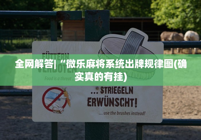 全网解答|“微乐麻将系统出牌规律图(确实真的有挂)