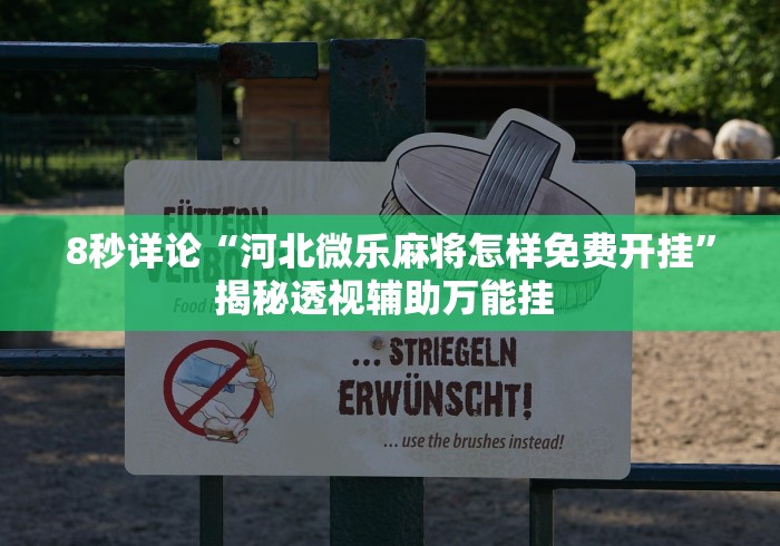 8秒详论“河北微乐麻将怎样免费开挂”揭秘透视辅助万能挂 