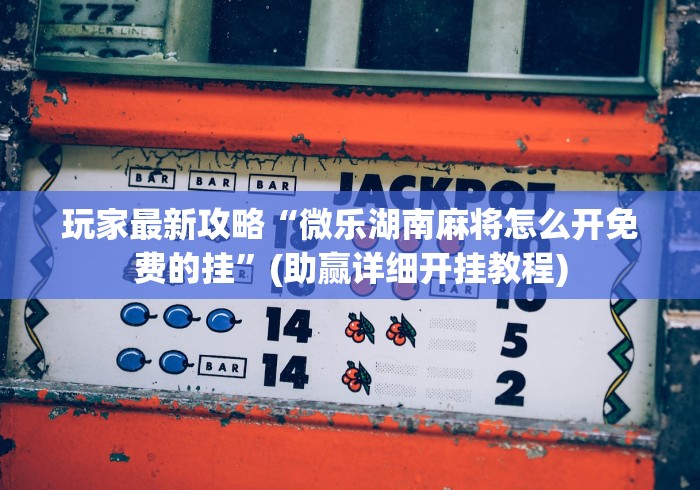 玩家最新攻略“微乐湖南麻将怎么开免费的挂”(助赢详细开挂教程)