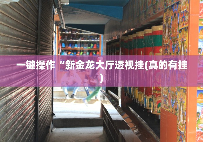 一键操作“新金龙大厅透视挂(真的有挂)