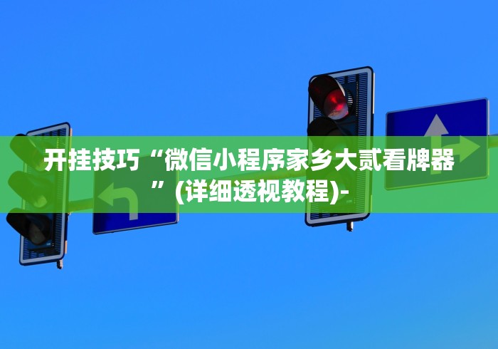 开挂技巧“微信小程序家乡大贰看牌器”(详细透视教程)-