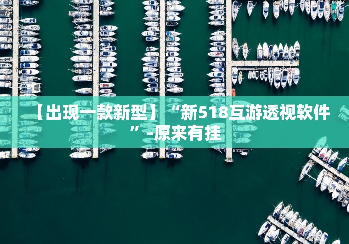 【出现一款新型】“新518互游透视软件”-原来有挂