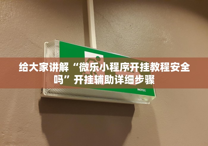 给大家讲解“微乐小程序开挂教程安全吗”开挂辅助详细步骤
