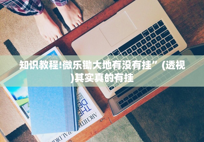 知识教程!微乐锄大地有没有挂”(透视)其实真的有挂