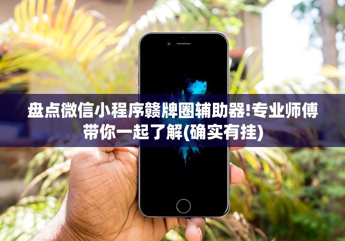盘点微信小程序赣牌圈辅助器!专业师傅带你一起了解(确实有挂)