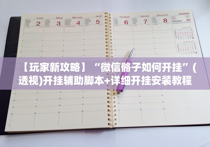 【玩家新攻略】“微信骼子如何开挂”(透视)开挂辅助脚本+详细开挂安装教程