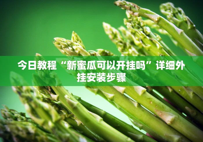 今日教程“新蜜瓜可以开挂吗	”详细外挂安装步骤