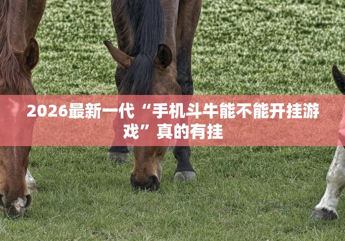 2026最新一代“手机斗牛能不能开挂游戏”真的有挂