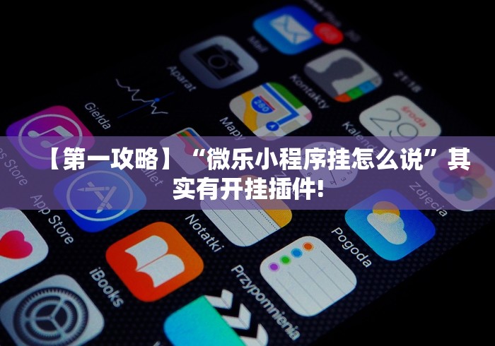 【第一攻略】“微乐小程序挂怎么说	”其实有开挂插件!