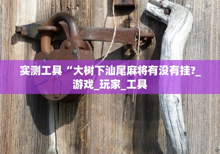 实测工具“大树下汕尾麻将有没有挂?_游戏_玩家_工具 实测工具“大树下汕尾麻将有没有挂?_游戏_玩家_工具