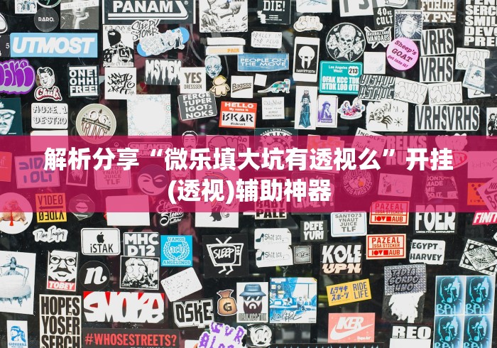 解析分享“微乐填大坑有透视么”开挂(透视)辅助神器