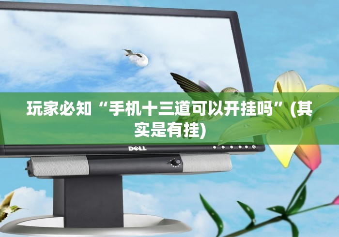 玩家必知“手机十三道可以开挂吗”(其实是有挂)