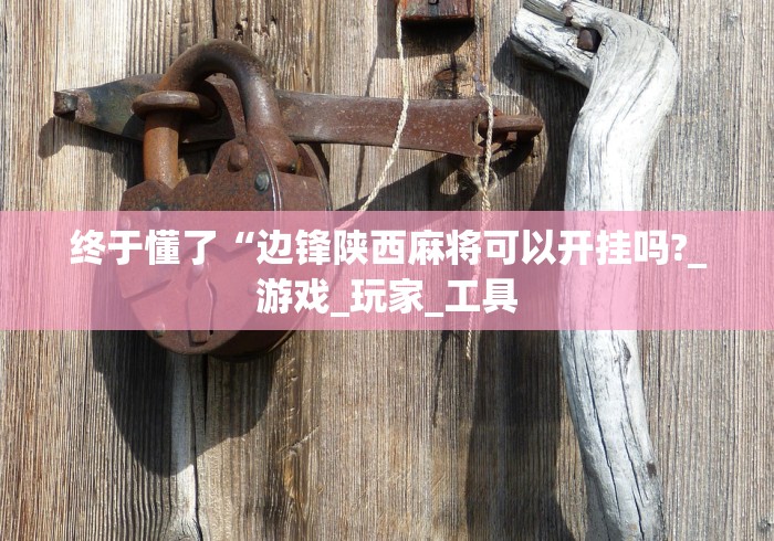 终于懂了“边锋陕西麻将可以开挂吗?_游戏_玩家_工具
