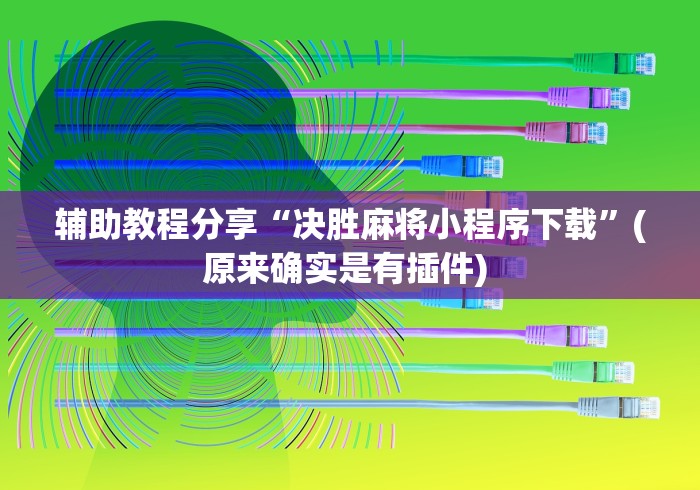 辅助教程分享“决胜麻将小程序下载”(原来确实是有插件) 