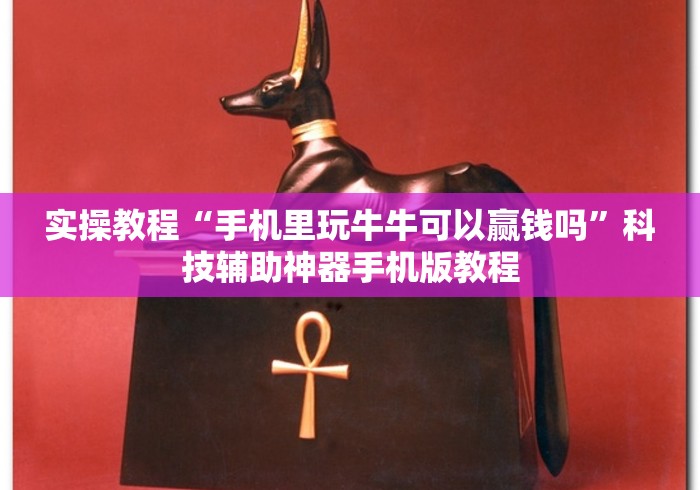 实操教程“手机里玩牛牛可以赢钱吗”科技辅助神器手机版教程