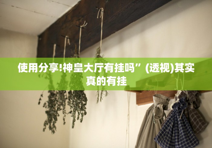 使用分享!神皇大厅有挂吗	”(透视)其实真的有挂