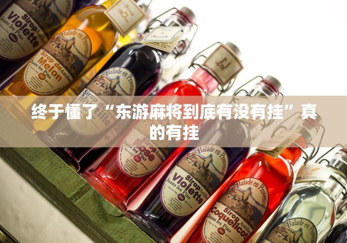 终于懂了“东游麻将到底有没有挂”真的有挂