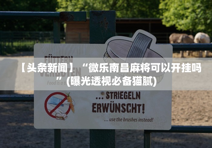 【头条新闻】“微乐南昌麻将可以开挂吗”(曝光透视必备猫腻)
