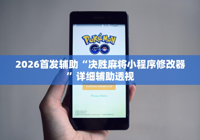 2026首发辅助“决胜麻将小程序修改器”详细辅助透视