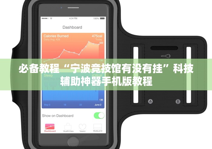 必备教程“宁波竞技馆有没有挂”科技辅助神器手机版教程