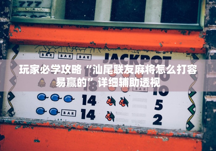 玩家必学攻略“汕尾联友麻将怎么打容易赢的”详细辅助透视