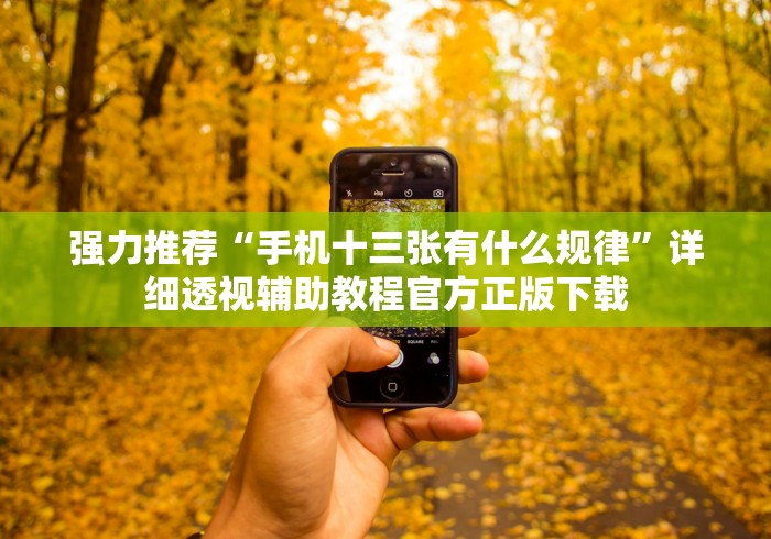 强力推荐“手机十三张有什么规律”详细透视辅助教程官方正版下载