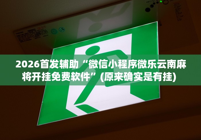 2026首发辅助“微信小程序微乐云南麻将开挂免费软件”(原来确实是有挂) 