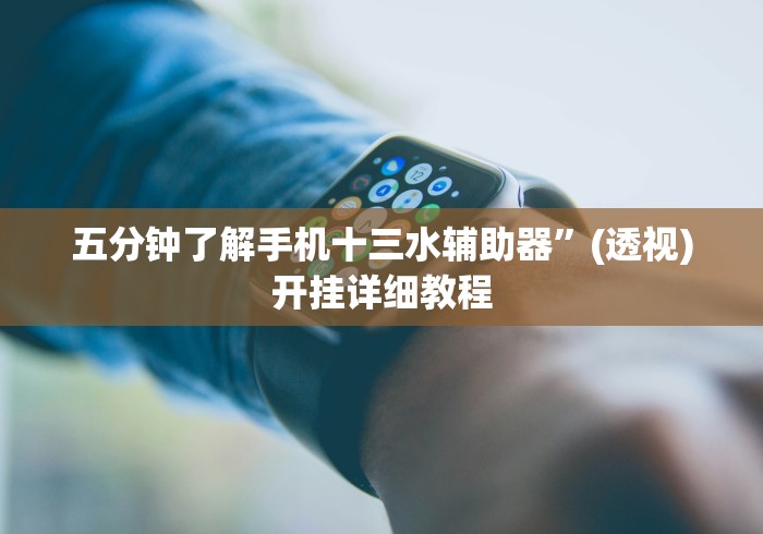 五分钟了解手机十三水辅助器”(透视)开挂详细教程