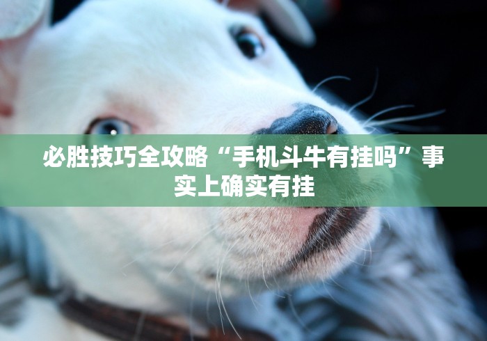 必胜技巧全攻略“手机斗牛有挂吗”事实上确实有挂