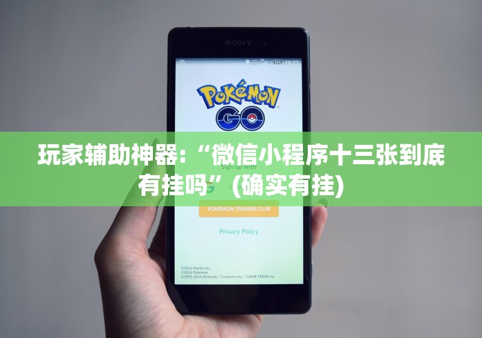玩家辅助神器:“微信小程序十三张到底有挂吗”(确实有挂)