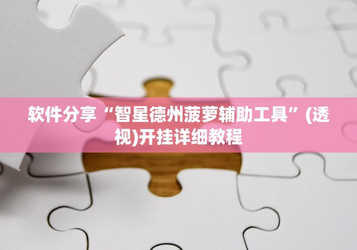 软件分享“智星德州菠萝辅助工具”(透视)开挂详细教程