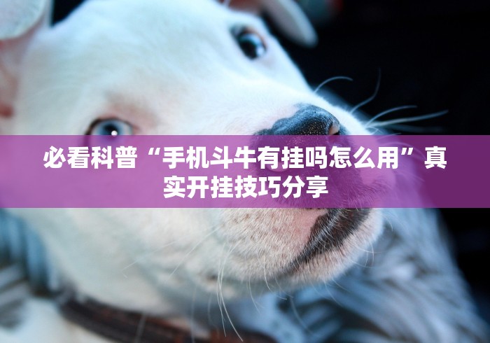必看科普“手机斗牛有挂吗怎么用	”真实开挂技巧分享