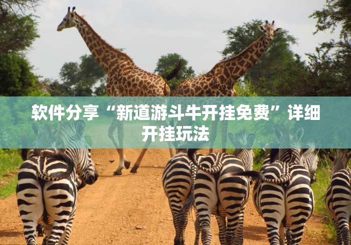 软件分享“新道游斗牛开挂免费”详细开挂玩法
