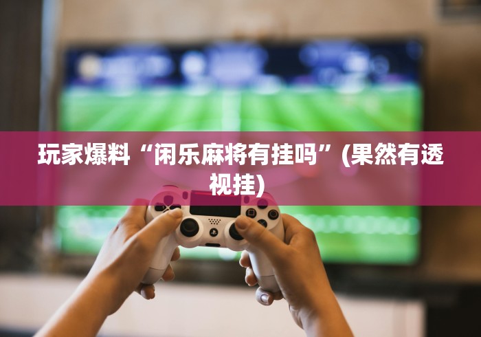 玩家爆料“闲乐麻将有挂吗”(果然有透视挂) 