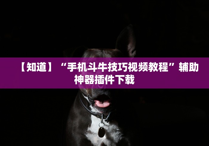 【知道】“手机斗牛技巧视频教程”辅助神器插件下载