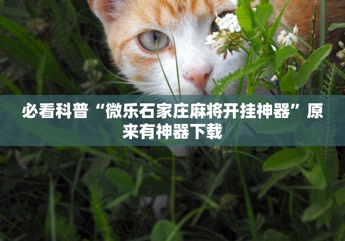 必看科普“微乐石家庄麻将开挂神器	”原来有神器下载