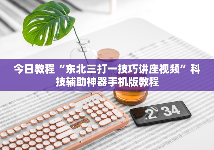 今日教程“东北三打一技巧讲座视频”科技辅助神器手机版教程