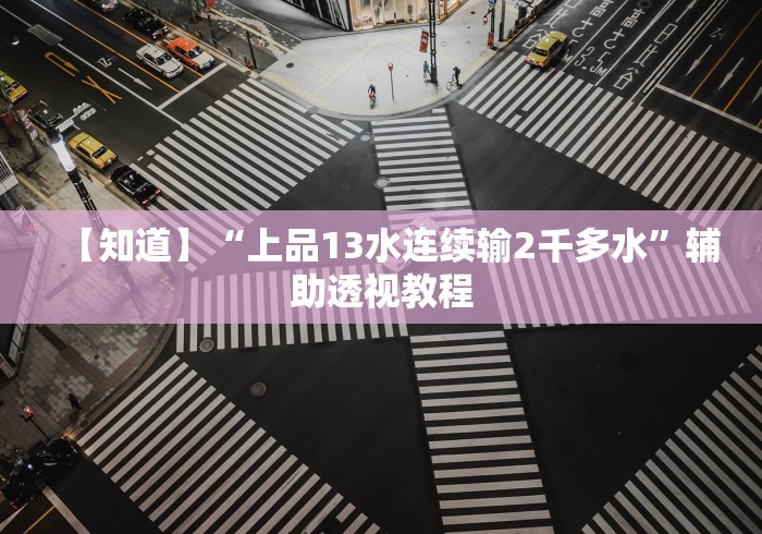 【知道】“上品13水连续输2千多水”辅助透视教程