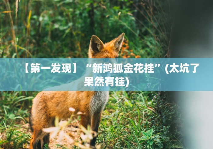 【第一发现】“新鸿狐金花挂”(太坑了果然有挂)