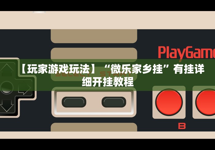 【玩家游戏玩法】“微乐家乡挂”有挂详细开挂教程
