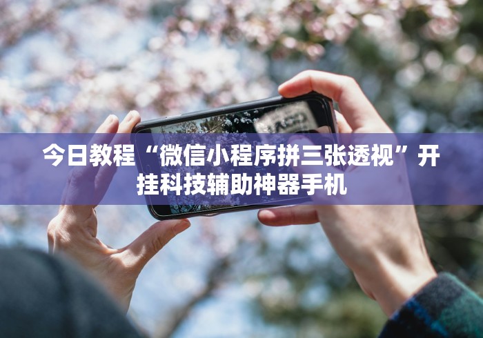 今日教程“微信小程序拼三张透视	”开挂科技辅助神器手机