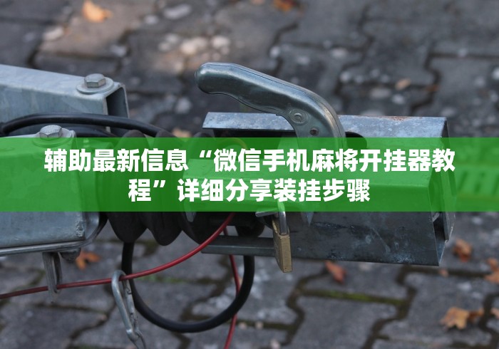 辅助最新信息“微信手机麻将开挂器教程”详细分享装挂步骤