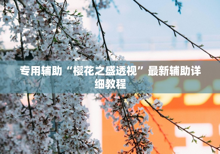 专用辅助“樱花之盛透视”最新辅助详细教程