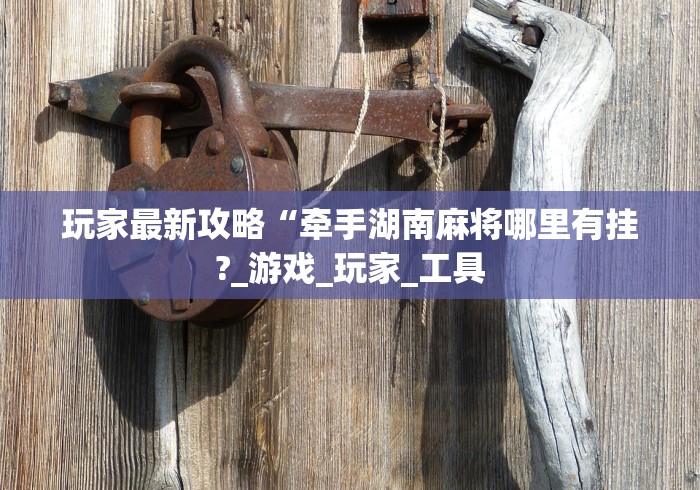 玩家最新攻略“牵手湖南麻将哪里有挂?_游戏_玩家_工具