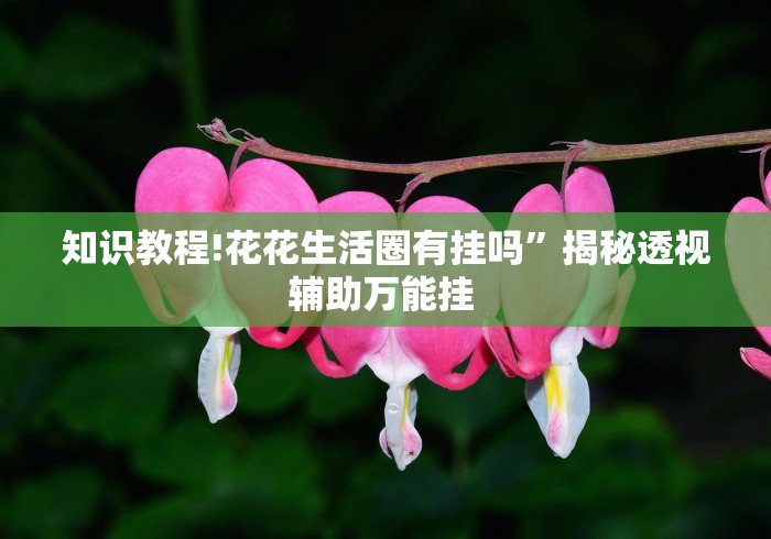 知识教程!花花生活圈有挂吗”揭秘透视辅助万能挂 